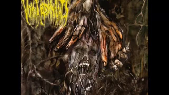 Vomit Remnants : Prodigy of Solitude смотреть онлайн