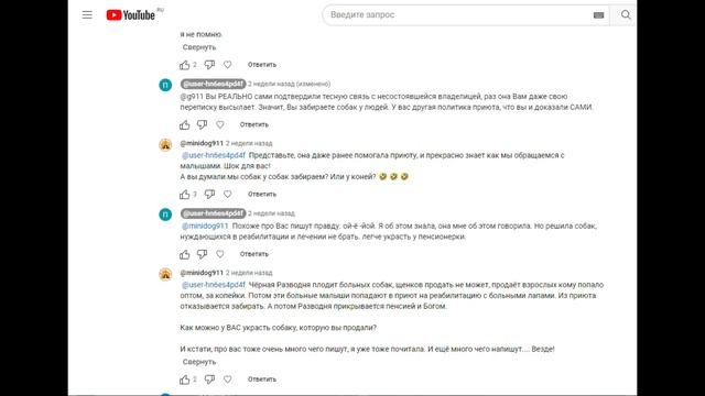 Приют "Домик мелкашей" врёт? смотреть онлайн