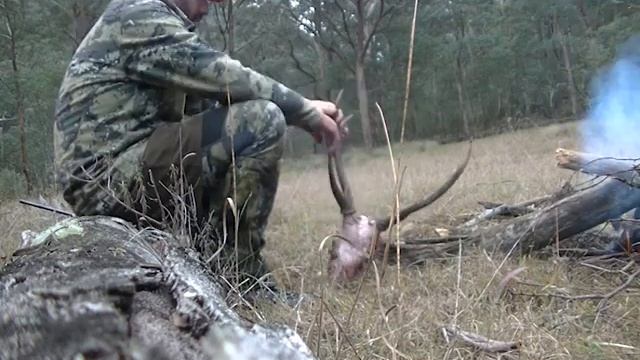 2019 Victorian Alpine Backpack Hunt for Sambar Stags смотреть онлайн