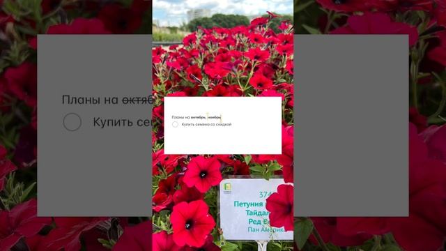 Не упускай возможность заказать семена|Впечатляющие скидки 01.11-10.11|Усадьба-Семена