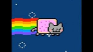 радужный кот (музыка)