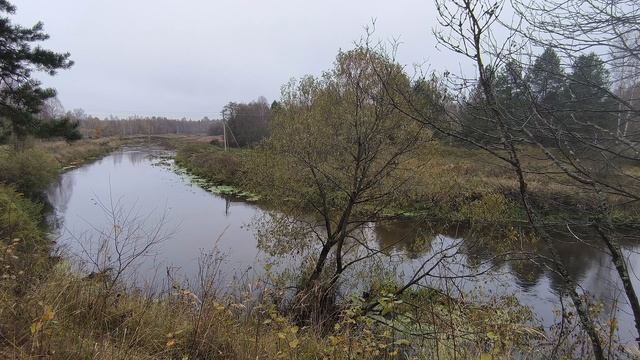 Река Уводь. ч.4. Октябрь 2024 смотреть онлайн