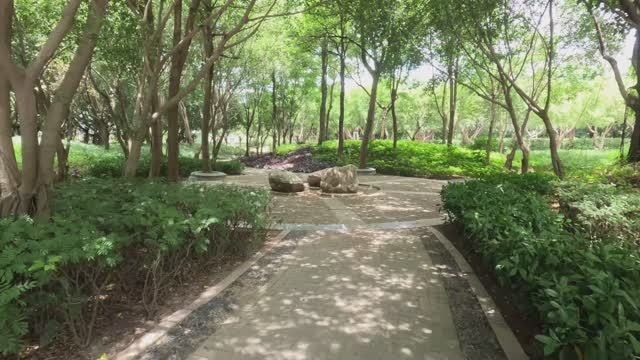 Китай, Сямен (Xiamen), Jul 2024, парк возле водохранилища, продолжение парка смотреть онлайн