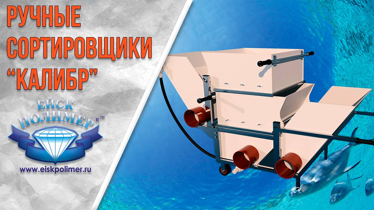 Принцип действия сортировщика для рыбы "Калибр" смотреть онлайн
