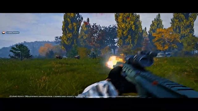 favorite shooting | #stalkerrp #purezone #dayzstalkerrp смотреть онлайн