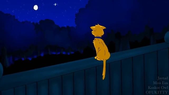 кто они?|3 часть|[котоинформация] Ч.О смотреть онлайн