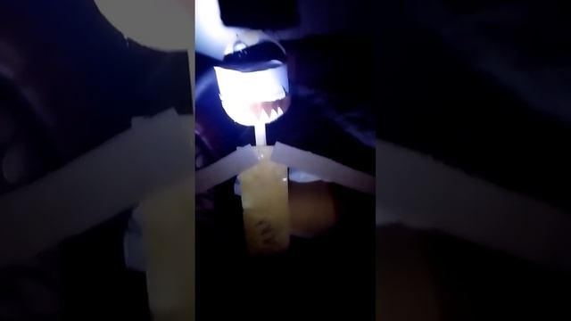 выступление самодельного анимотроника (как его назвать пишите в коменты) смотреть онлайн