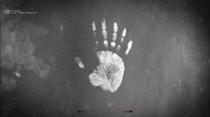 Прохождение S.T.A.L.K.E.R ОП 2.2 «Кпк Крота и Подземелье НИИ Агропром»