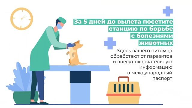 Россельхознадзор смотреть онлайн