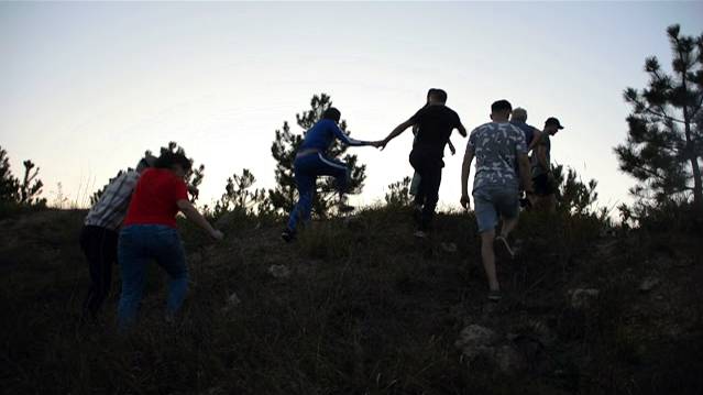 Олег Алексеевич отгоняет шишками боевого Тему ! смотреть онлайн