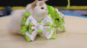 Весенние бантики Канзаши. Бантики из ленточек своими руками. Мария Калугина.