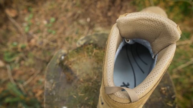 Haix Black Eagle Athletic 2.0 V GTX Mid - Testbericht Gear Review