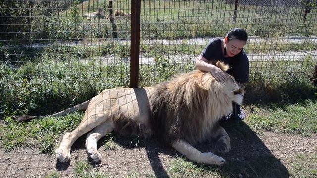 Марсель сложил так красиво лапки !!! Как выглядят лица счастливых людей ! смотреть онлайн