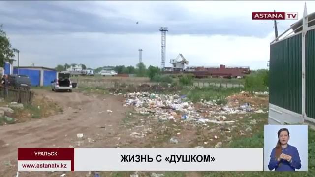 В Уральске стихийная свалка несколько лет отравляет жизнь на улице Гагарина смотреть онлайн