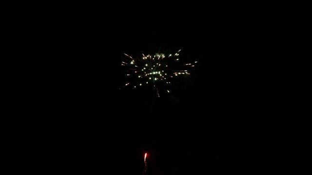 CL020 ЗОЛОТОЙ ЛЕВ (0.8"х49) смотреть онлайн