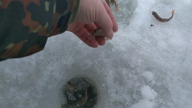 Безмотылка Букашка . похожа на какого-то жучка или клопа смотреть онлайн