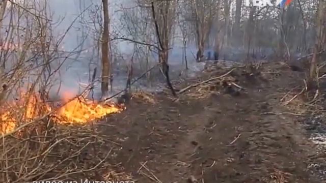 Выпуск программы "ТВ-Коряжма" 6.05.2015 смотреть онлайн