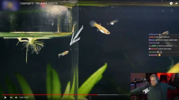 T2x2 СМОТРИТ: АКВАРИУМ ИЗ БУДУЩЕГО - 120 ДНЕЙ СПУСТЯ | Реакция T2x2