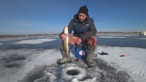 Рыбалка первый лед.