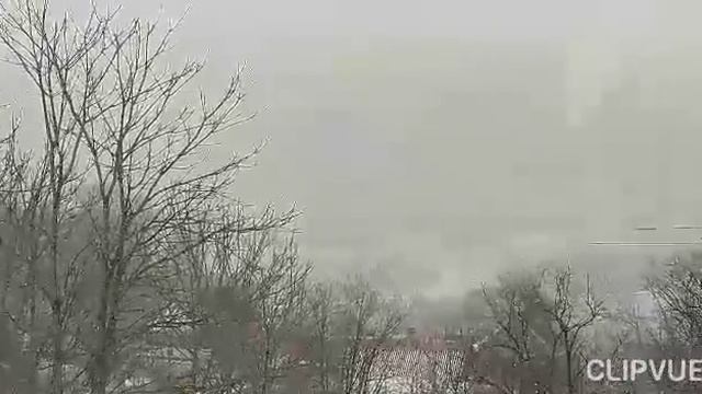 Как я распускаю /// Ответ на комментарий /// Общаемся /// смотреть онлайн