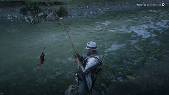 RDO Лосось, Цветок ванили, Ежедневные задания RDR2