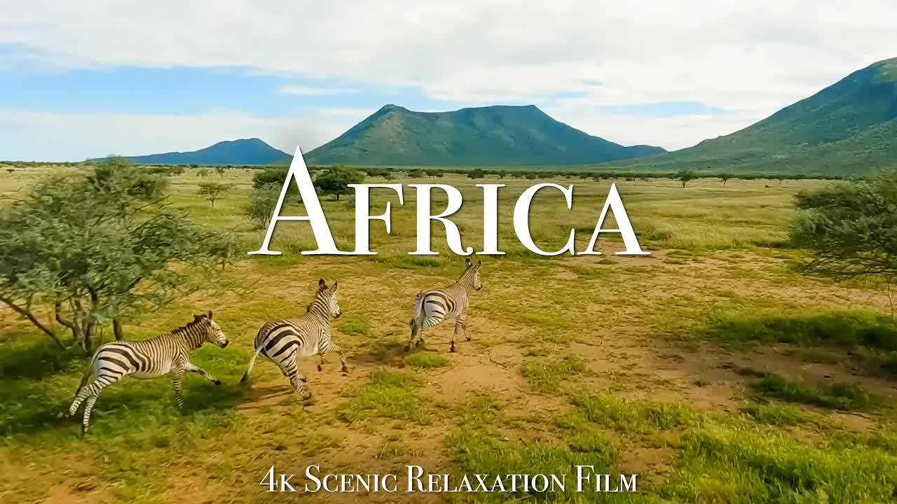 Africa 4K - Scenic Relaxation Film With Cinematic FPV смотреть онлайн