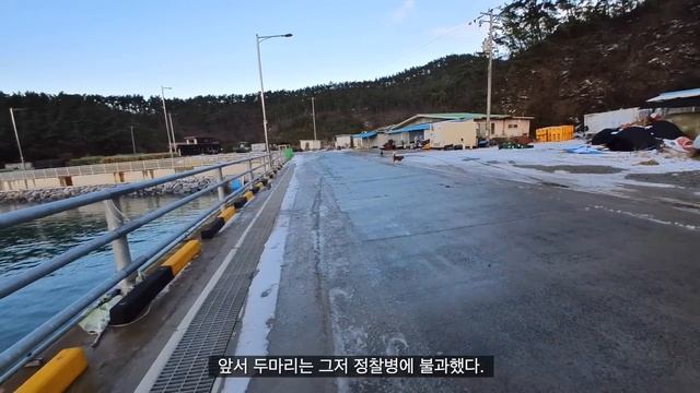 겨울차박은 무시동히터가 답. 한파에 반팔입고 바닷가에서 물회먹기 | 가솔린차 무시동히터 기름 소비량 | 겨울 바다 노지 차박캠핑 смотреть онлайн