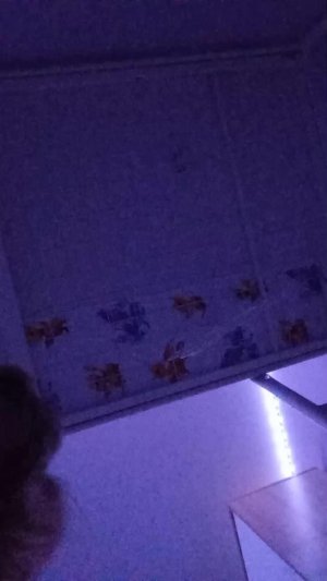 буду мы сейчас своих малы шей