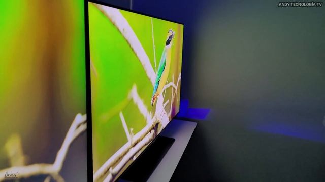SAMSUNG Q80B (ADS) vs Q80B (VA): Televisores QLED 4K / El Q80B de 50" No tiene puertos HDMI 2.1 смотреть онлайн