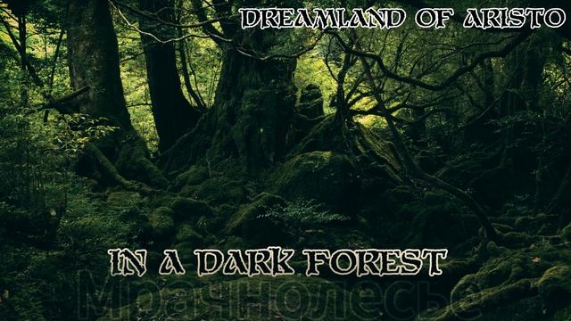 In A Dark Forest