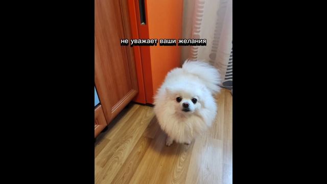 Признаки токсичной матери и абьюза