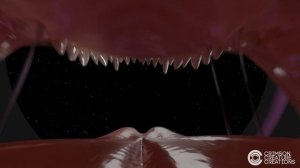 Smug Predator POV version | Dragon Vore Animation