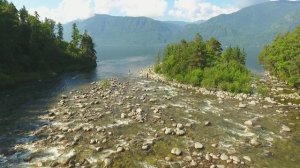 Республика Алтай. Телецкое озеро, июль, 2024г.