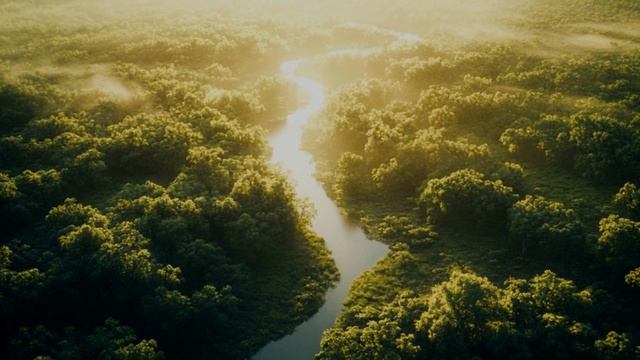 Песенка про пчëлок.