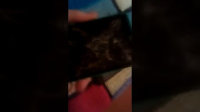 Мои телефоны.