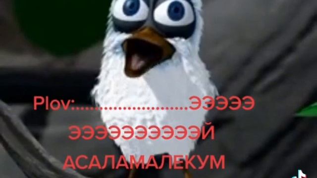 АСАЛАМАЛЕКУМ