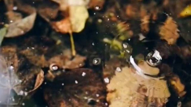 Поучительные истории - Как важно ценить моменты.....