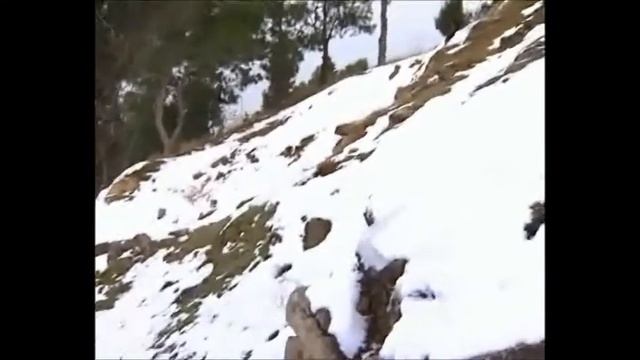 Литературная передача "Магия слова". Поэт Марина Коломазова. Ictimai TV, 2007 смотреть онлайн