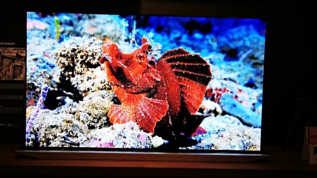 Grundig 88-in OLED 8K TV with Amazon Fire TV Edition смотреть онлайн