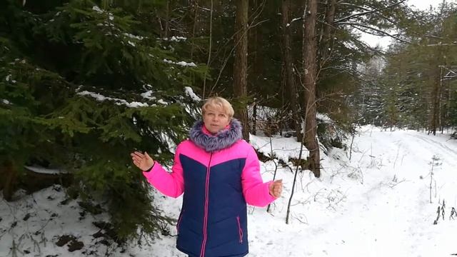 Гостевые дома АПАРТ-СИТИ в Минске смотреть онлайн