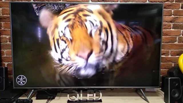 Samsung QE55Q67RAUXUA смотреть онлайн