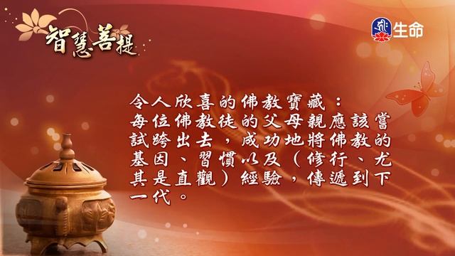 智慧菩提(476)_智慧菩提_(lifetv_20240221_07:00) смотреть онлайн