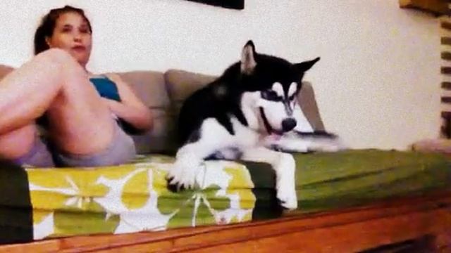 Poco and me watching tv смотреть онлайн