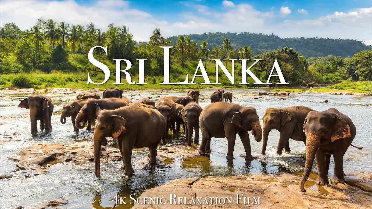Sri Lanka 4K - Scenic Relaxation Film With Calming Music смотреть онлайн