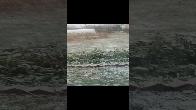 у нас пошёл снег смотреть онлайн