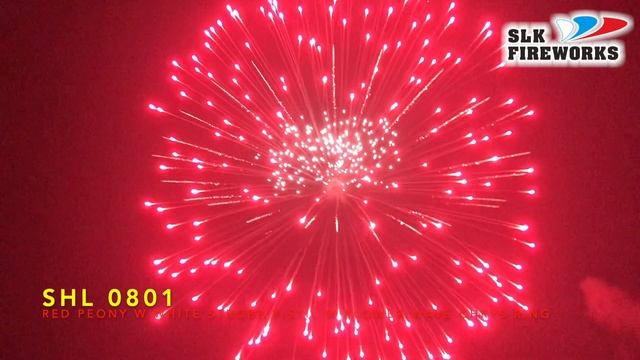 8" SHL 0801 Red peony with white strobe pistil with flower wave chrys ring L смотреть онлайн