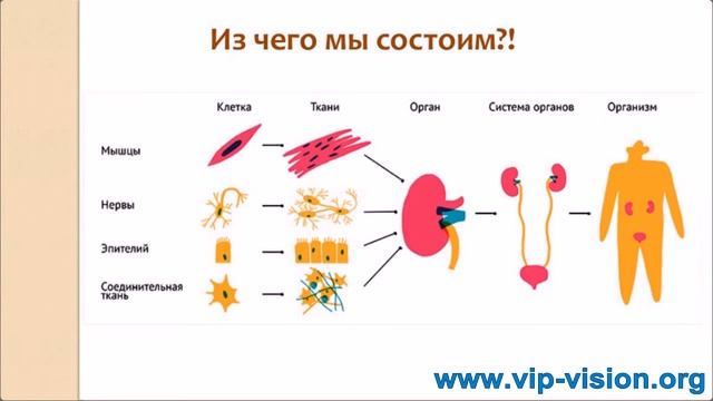 Мир восстановления здоровья без скальпеля и таблеток