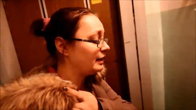 Разговор с жителем дома, из окна которого выкинули собаку смотреть онлайн