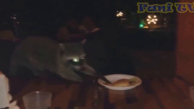 Лучшие приколы в Fani TV за неделю #13 Подборка приколов смотреть онлайн