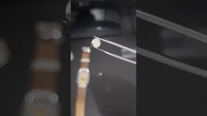 Philip Stein Watch Battery Replacement #watch #battery #philipstein